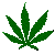 [Image: smoking-cannabis-032.gif]